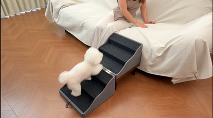 Dog Stairs Video